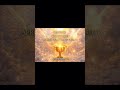 Qasida do Cálice que Aprende a Transbordar | Canção Espiritual | 963 Hz + 432 Hz  | Gaia Serapys ♾️