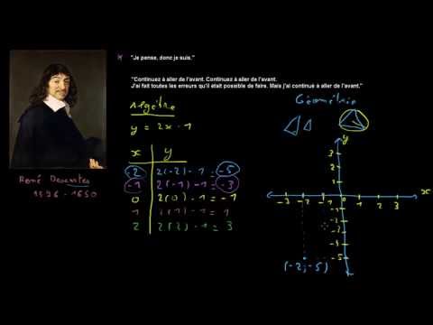 Vidéo: Combien y a-t-il de quadrants dans un plan cartésien ?