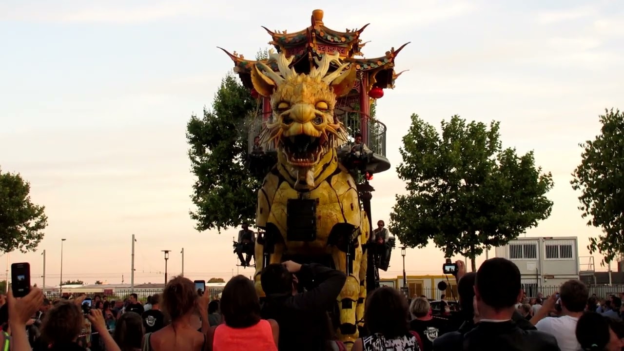 Longma se réveille 20 08 2015 Nantes