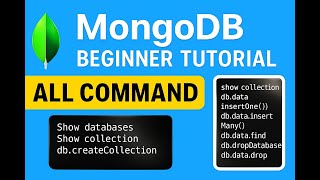 MongoDB Beginner Tutorial | show dbs, use, createCollection, insertOne, insertMany, find() , drop DB