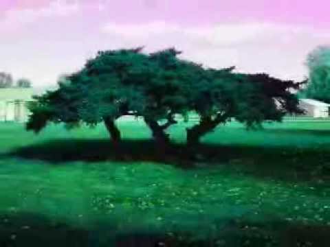 Non Essential Man Studio Version ( Original ) Copyright©2014 Charles Martin Fugate