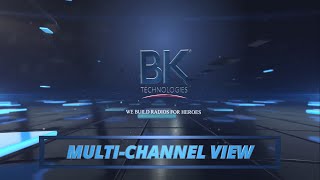 Multichannel View