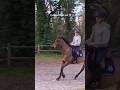 🩷🩷 #pourtoi #horse #equestrian #cavalier #cheval