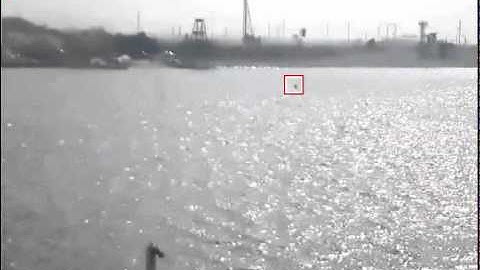 Protrack - Video Motion Detection (VMD) ON WATER