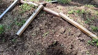Follow-up to using a resting compost pile to cold stratify and sprout seeds