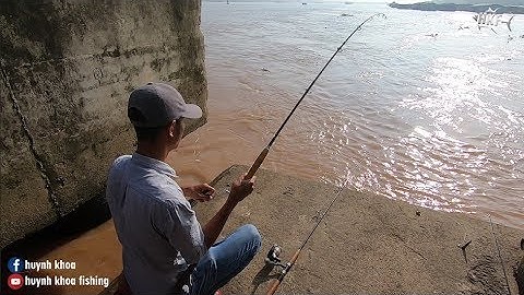 RA TRỤ CẦU RẠCH MIỂU CÂU CÁ LĂNG ĐUÔI ĐỎ