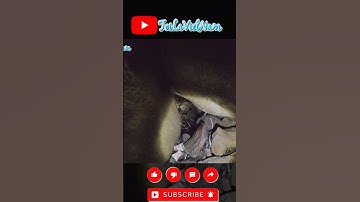 Hang Động trên Ô Tà Sóc - núi dài Ngoại Long Sơn | TÔI LÀ VIỆT NAM #toilavietnam #angiang #nature