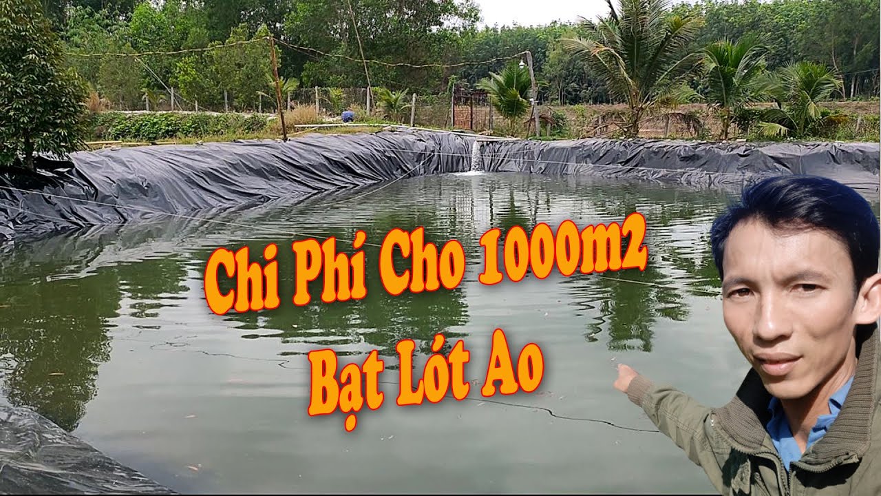Chi Phí lót Bạt Cho Ao Nuôi Cá || Nông Dân Vlog