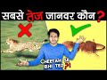 दुनिया का सबसे FASTEST ANIMAL कौन है? Who is the Fastest Animal in the World