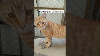 Bu Değişimi Görmelisin