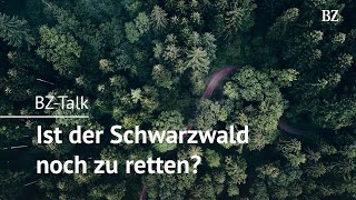 BZ Talk zur Klimazukunft Baden 2050: Stirbt der Schwarzwald? BZ Talk zur Klimazukunft Baden 2050: Stirbt der Schwarzwald?