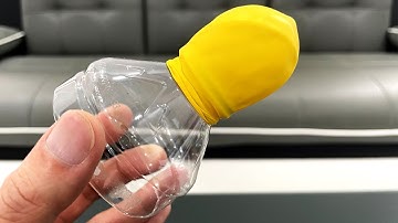 How to Easily Open Macadamia Nuts at Home