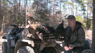 Wild Hog Hunting at its Best!  Wild Hog Exterminators!