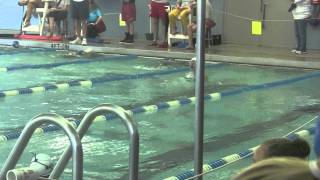 20111022 Breaststroke