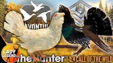 WHAT?!?  LEUCISTIC & DIAMOND CAPERCAILLIES & More!!!  -  Revontuli Coast Call of the Wild