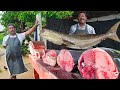 Nice beast villages super fishmarket excellent fish cutting skills