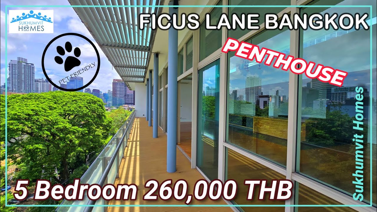 Pet Friendly Penthouse 5 Bedroom For Rent Phra Khanong Ficus Lane ... - Pet-Friendly Penthouse Rentals