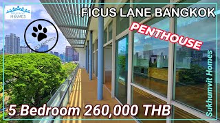 Pet Friendly Penthouse 5 Bedroom For Rent Phra Khanong Ficus Lane 260,000 THB Monthly
