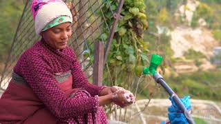 Postnatal Care of Mother and Baby - Childbirth Series