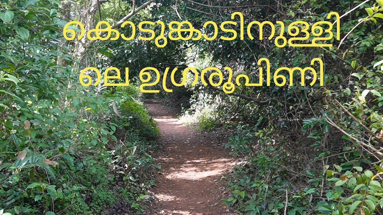 കൊടുങ്കാട്ടിനുള്ളിലെ ഉഗ്രരൂപിണി