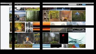 Download Protected Flickr Images! 2020 Tutorial CHROME BROWSER Howto