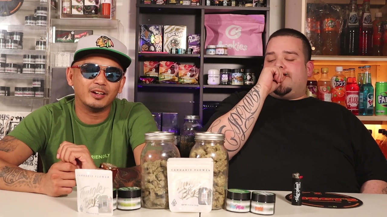 JUNGLE BOYS Jungle Fire #7 Strain Review by The Melting Pot Connoisseurs