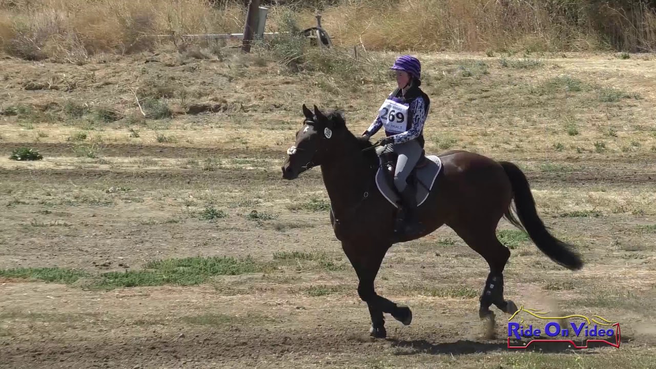 horseshoe bend 269XC Natalie Kraus on King's Affair JR Beginner Novice Cross Country Twin Rivers Ranch Sept. 2019
