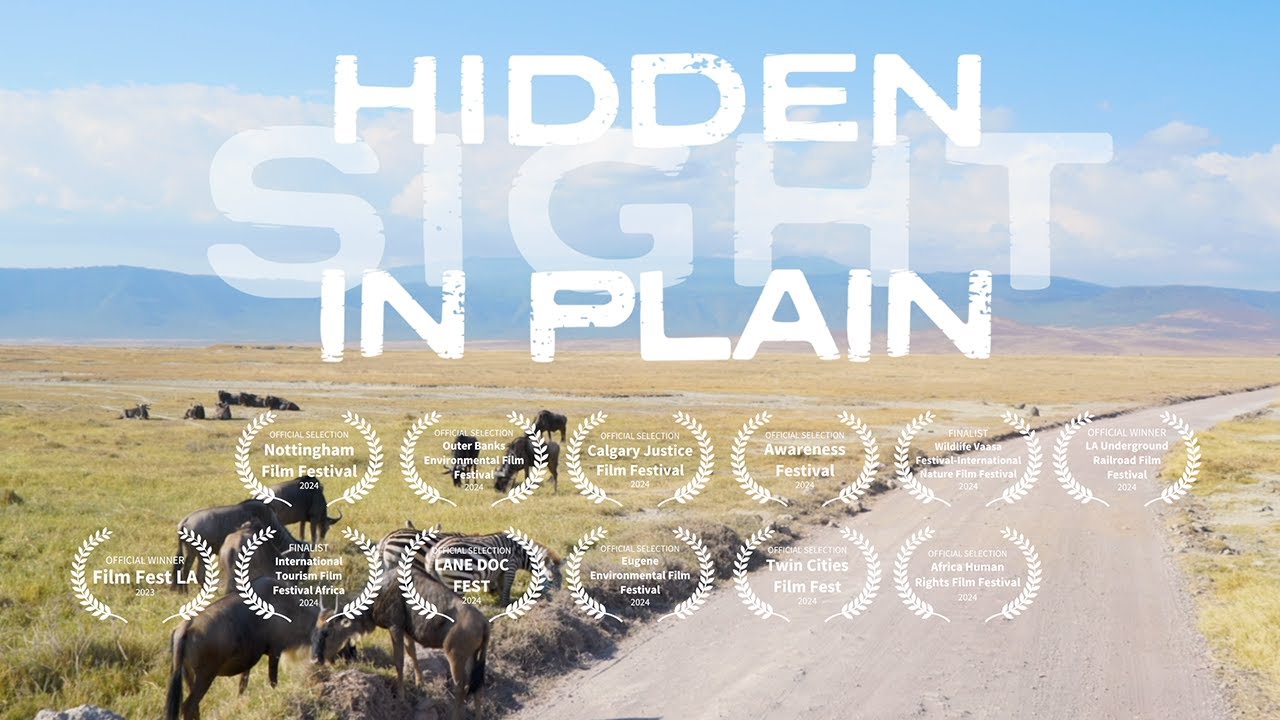 Hidden In Plain Sight - Official Trailer