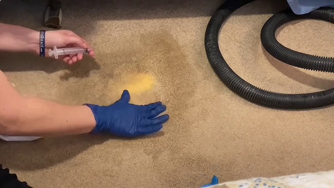 How To Remove Bleach Stains on Carpet? - Professional Carpet Dyeing _  DyeBold