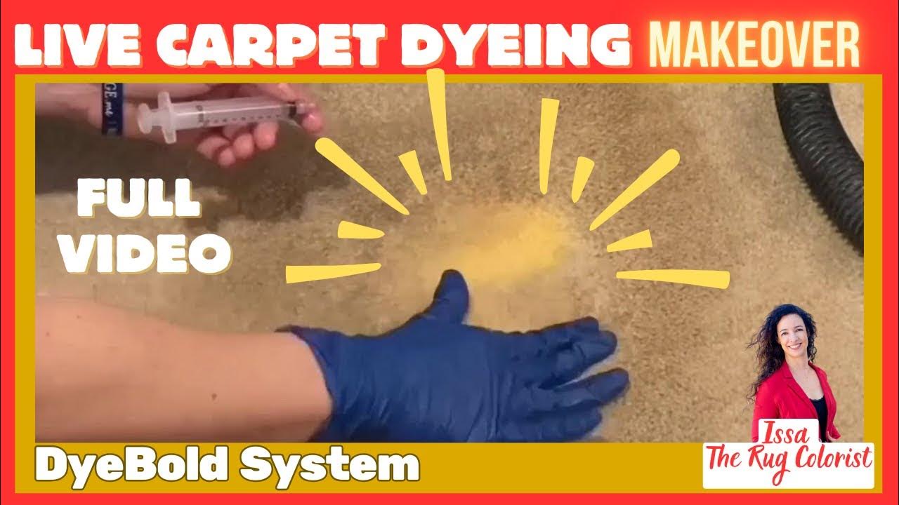 DIY Carpet Dyeing How to Restore and Color Bleached Carpets Stepby