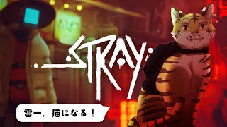 【STRAY】猫になるニャン！#1【Vtuber/虎縞雷一】