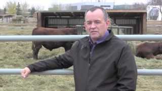 Beef Research School - Developing a Biosecurity Strategy