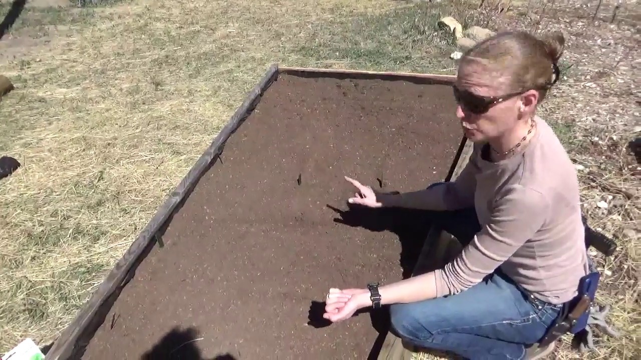 Spring Planting in Tons of New Raised Beds! How to Plant & Grow Sugar