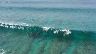 Surfing with Dolphins at the Maldives