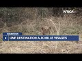 Cameroun : une destination aux milles visages