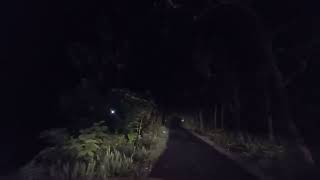 Download Lagu LUAR BIASA..!!! BERHADAPAN LANGSUNG MITOS HUTAN ANGKER MP3 Download Lagu LUAR BIASA..!!! BERHADAPAN LANGSUNG MITOS HUTAN ANGKER MP3