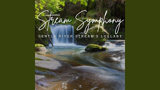 Harmonious Flow of the Babbling Brook