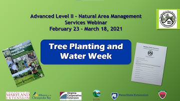 Installing a Residential Riparian Buffer