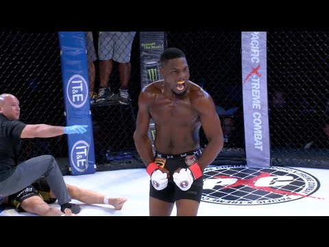 PXC 50 | Primer | Fight Card Preview