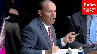 'We've Got Him On Video!': Mike Lee Lambasts Biden Judicial Nominee For Statements On DEI