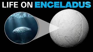 NASA Found Latest Life Signals In Saturn's Moon Enceladus| हिंदी