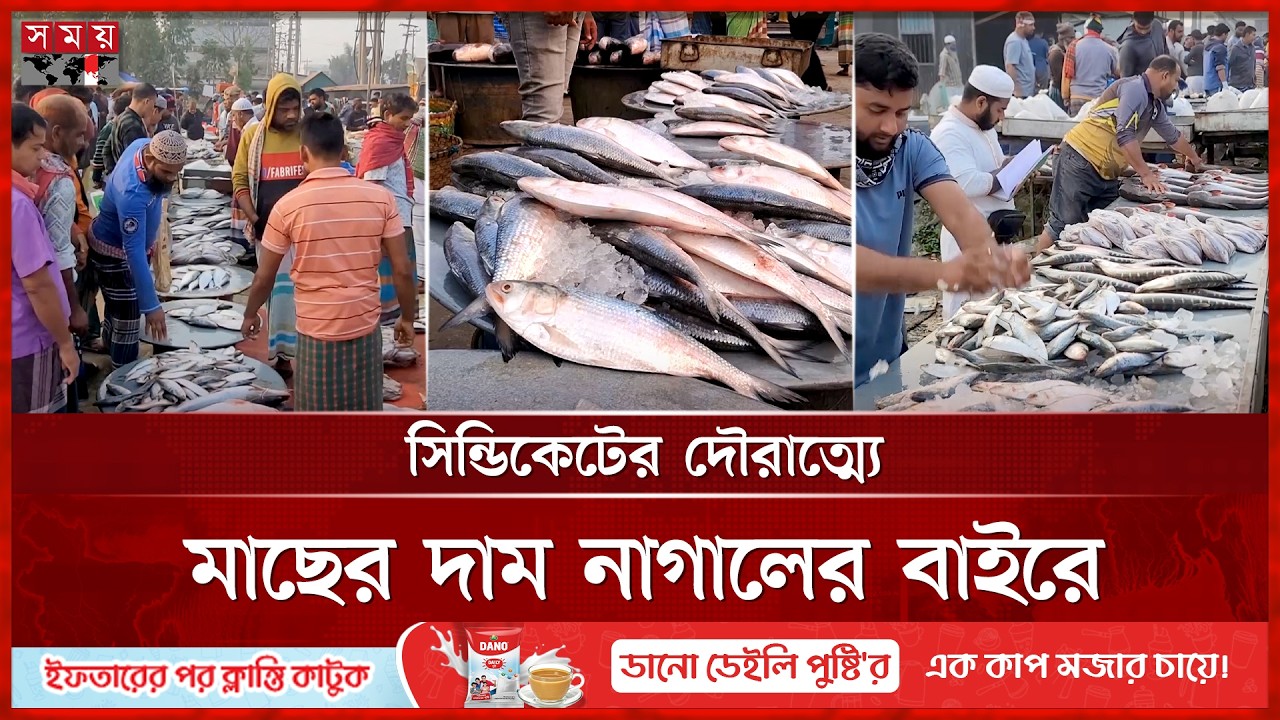 মীরকাদিমের মাছের আড়তে ইলিশের কেজি ৩ হাজার | Munshiganj News | Mirkadim Fish Market | Ilish | SomoyTV
