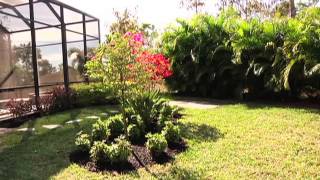 Rubberific Landscape Borders