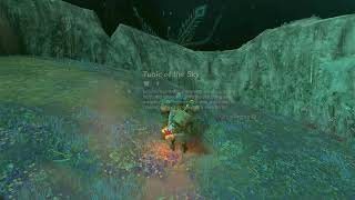 Treasure Chest, Minshi Grove | The Legend of Zelda: Tears of the Kingdom