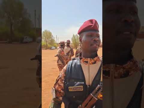 القوات المسلحة السودانية الفرقة التاسعة المحموله جوا السودان الجيش السوداني