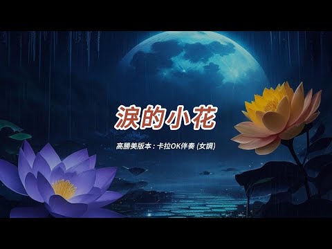 淚的小花 (高勝美版本)(國語)(卡拉OK伴奏)(女調)
