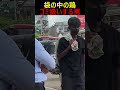動物虐待をしていると思いきや... #ドッキリ #funny #memes #面白い #ホラー
