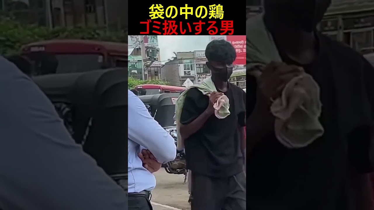 動物虐待をしていると思いきや... #ドッキリ #funny #memes #面白い #ホラー