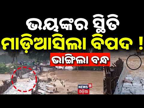 ମାଡ଼ିଆସିଲା ବିପଦ ! Jajpur Baitarani River Embankment Collapses | 100-Foot Breach Near Dasharathpur