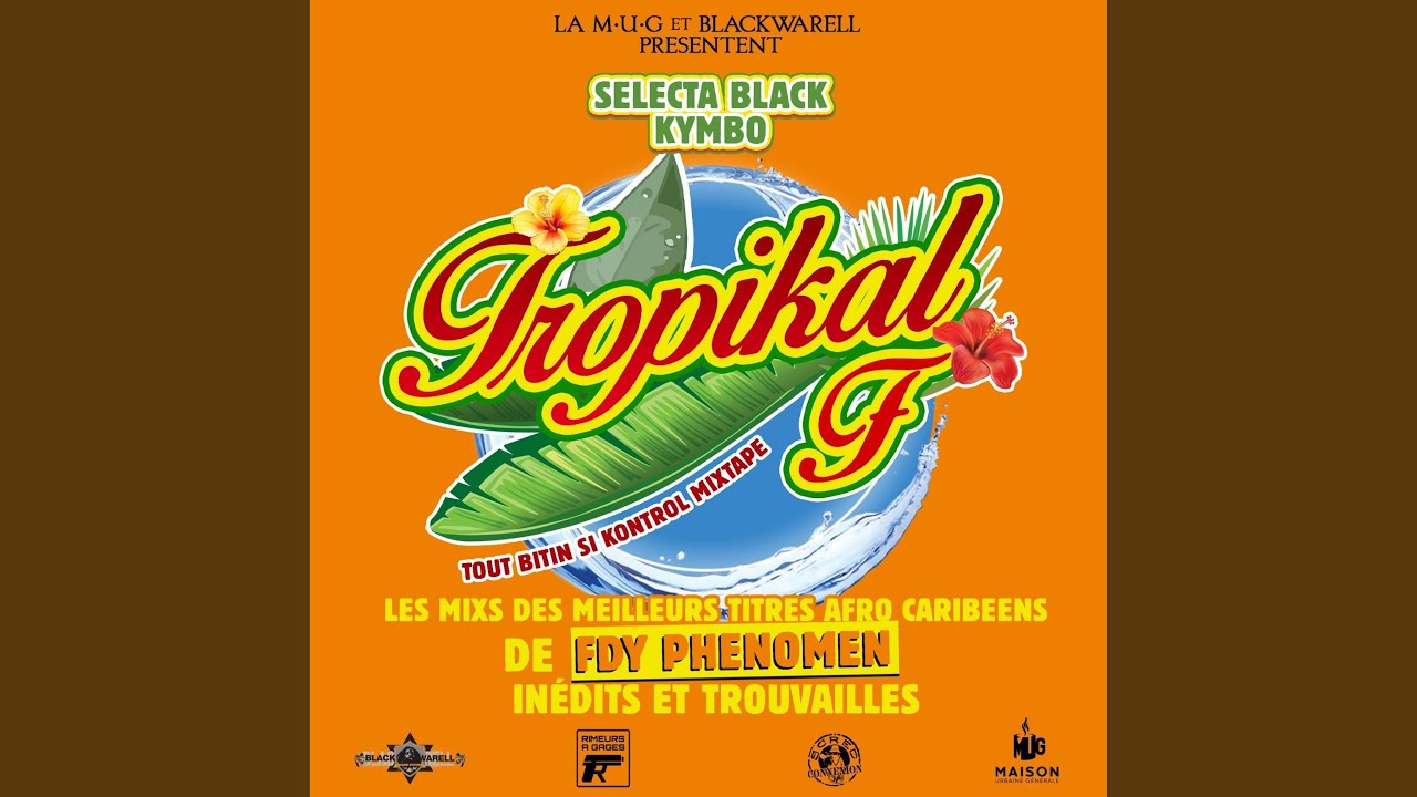 Смотреть «J’ai pas le Profil (feat. Tiwony) (Selecta Black Kymbo Edit)» на YouTube Смотреть «J’ai pas le Profil (feat. Tiwony) (Selecta Black Kymbo Edit)» на YouTube